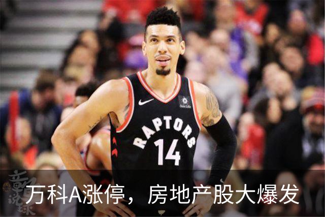 万科A涨停，房地产股大爆发