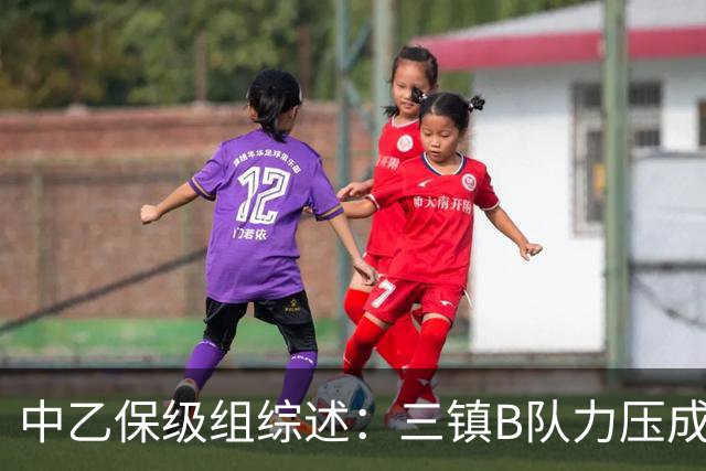 中乙保级组综述：三镇B队力压成都B队逃离降级区，赛更达提前降级
