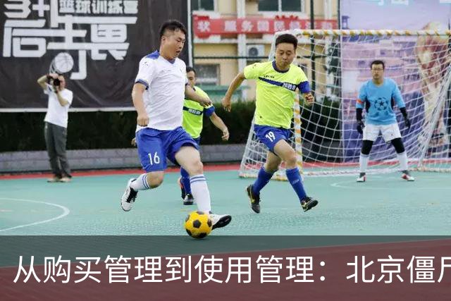 从购买管理到使用管理：北京僵尸车现象与机动车调控的范式转换