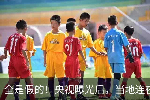 全是假的！央视曝光后，当地连夜成立工作专班：从严查处追责问责