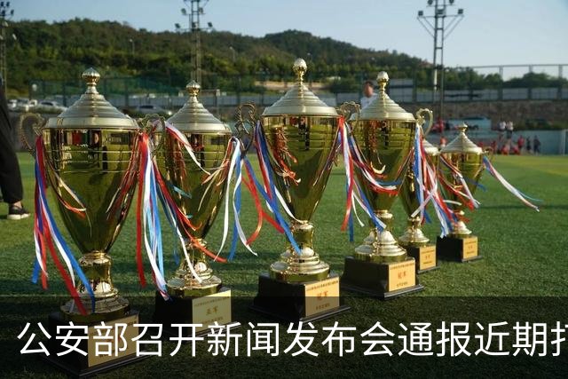 公安部召开新闻发布会通报近期打击违法犯罪取得的重大战果