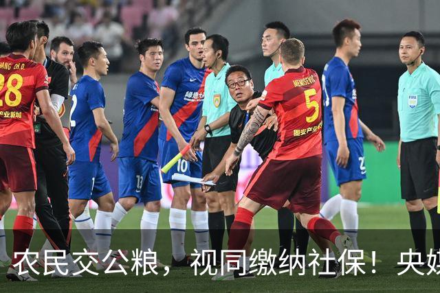 农民交公粮，视同缴纳社保！央媒重磅发声，人大代表建议提高养老金