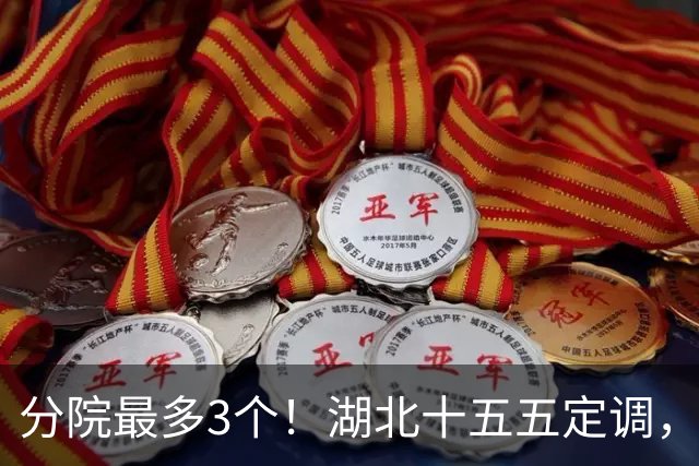 分院最多3个！湖北十五五定调，公立医院告别盖楼扩床时代