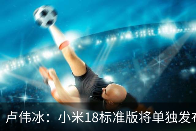 卢伟冰：小米18标准版将单独发布