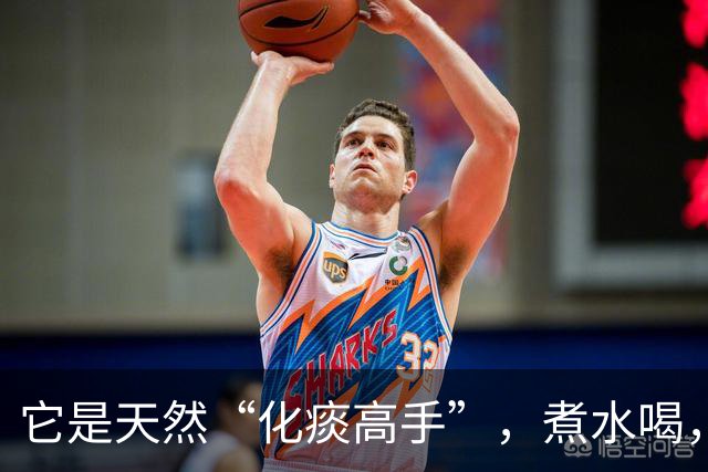 它是天然“化痰高手”，煮水喝，排出深层老痰，痰湿体质不要错过