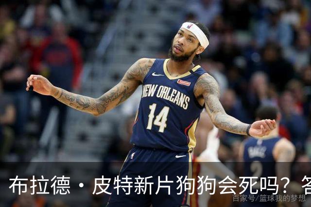 布拉德·皮特新片狗狗会死吗？答案藏在开场里