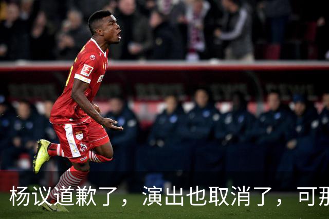 杨议道歉了，演出也取消了，可那句，“误会”，什么都没解决