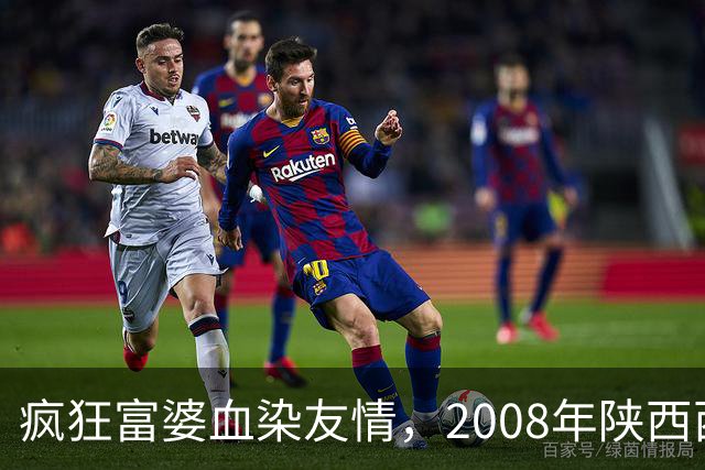 疯狂富婆血染友情，2008年陕西西安“7·22”杀人埋尸案侦破始末