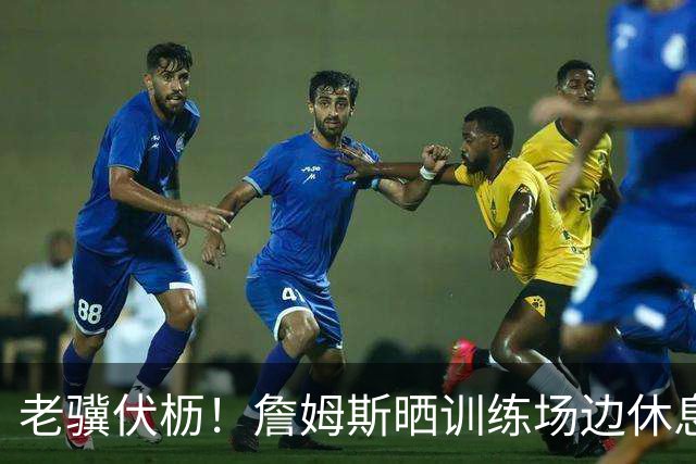 老骥伏枥！詹姆斯晒训练场边休息自拍 大汗淋漓调整呼吸