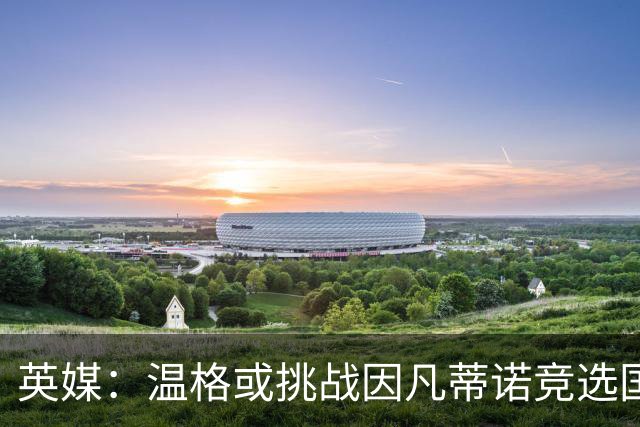 英媒：温格或挑战因凡蒂诺竞选国际足联主席