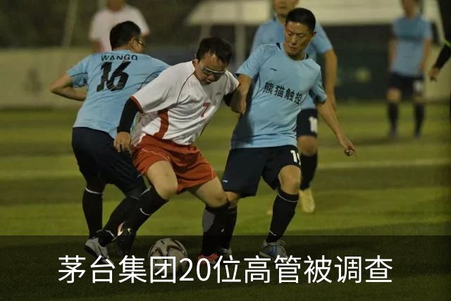 茅台集团20位高管被调查