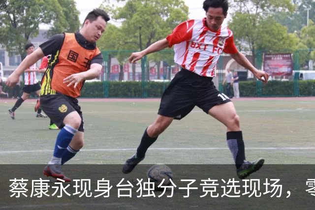 蔡康永现身台独分子竞选现场，零跑汽车深夜声明