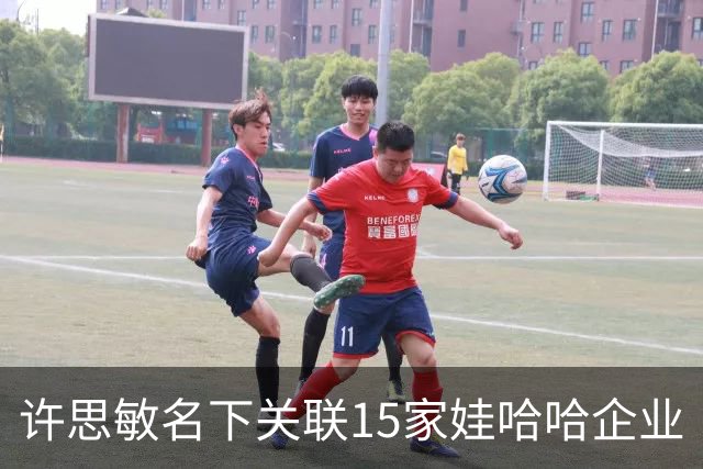 许思敏名下关联15家娃哈哈企业