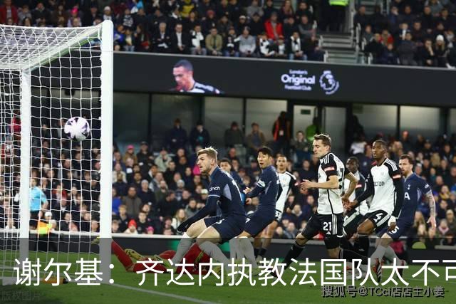 谢尔基：齐达内执教法国队太不可思议了，大家都知道他的经历