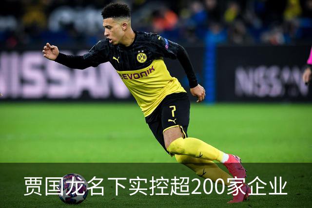 贾国龙名下实控超200家企业