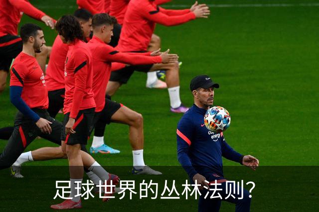 足球世界的丛林法则？