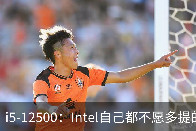 i5-12500：Intel自己都不愿多提的12代“异类”